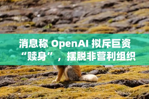 消息称 OpenAI 拟斥巨资“赎身”，摆脱非营利组织控制