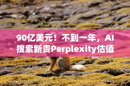 90亿美元！不到一年，AI搜索新贵Perplexity估值翻了17倍