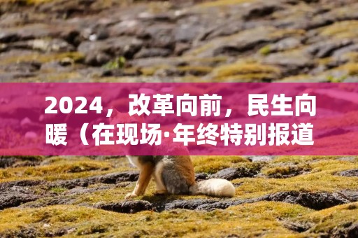 2024，改革向前，民生向暖（在现场·年终特别报道）