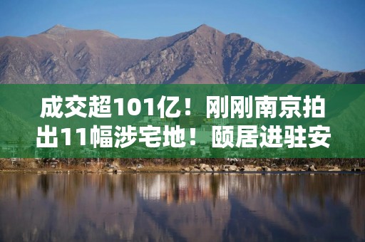 成交超101亿！刚刚南京拍出11幅涉宅地！颐居进驻安德门