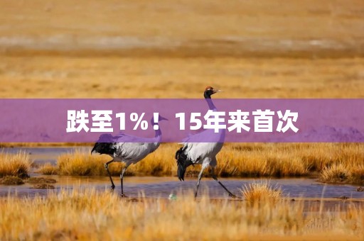 跌至1%！15年来首次