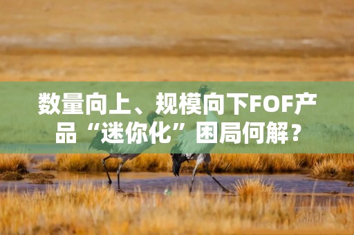 数量向上、规模向下FOF产品“迷你化”困局何解？