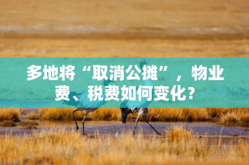 多地将“取消公摊”，物业费、税费如何变化？