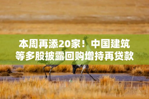 本周再添20家！中国建筑等多股披露回购增持再贷款计划，相关A股名单一览