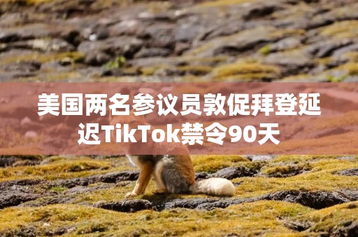 美国两名参议员敦促拜登延迟TikTok禁令90天