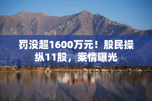 罚没超1600万元！股民操纵11股，案情曝光