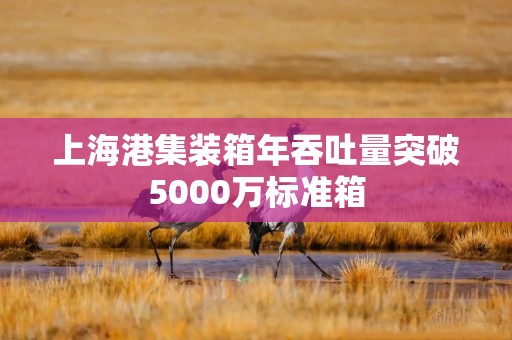 上海港集装箱年吞吐量突破5000万标准箱