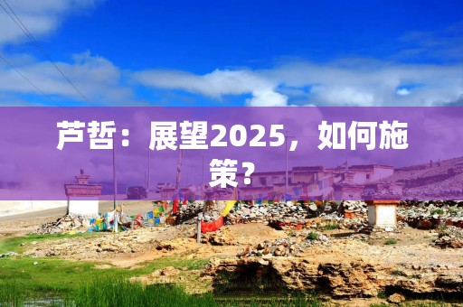 芦哲：展望2025，如何施策？