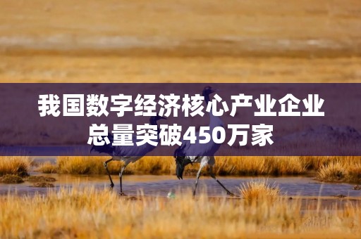 我国数字经济核心产业企业总量突破450万家