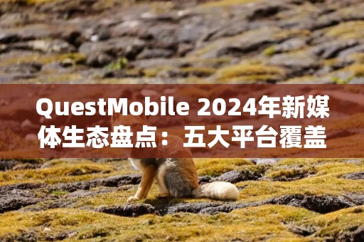 QuestMobile 2024年新媒体生态盘点：五大平台覆盖10.71亿用户，内容商业化进入爆发期……