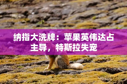 纳指大洗牌：苹果英伟达占主导，特斯拉失宠