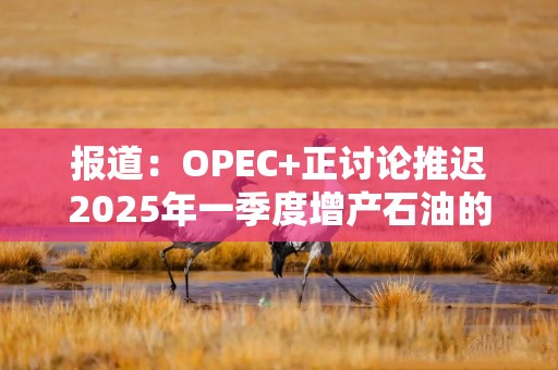 报道：OPEC+正讨论推迟2025年一季度增产石油的原定计划