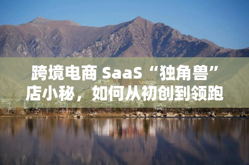 跨境电商 SaaS“独角兽”店小秘，如何从初创到领跑者