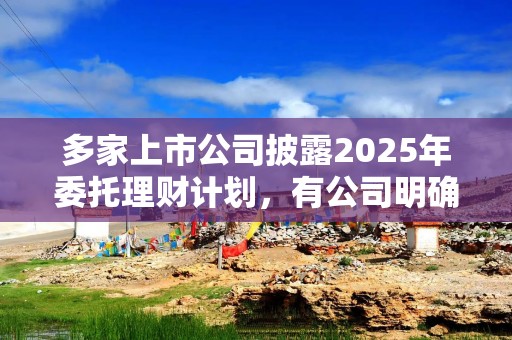 多家上市公司披露2025年委托理财计划，有公司明确不超过220亿元资金仅投向结构性存款