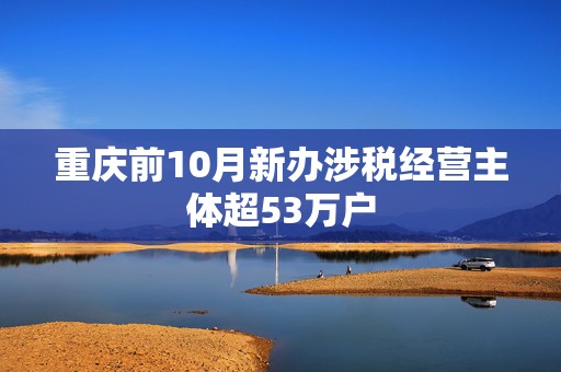 重庆前10月新办涉税经营主体超53万户