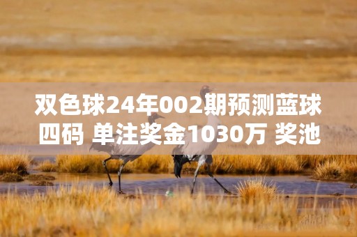 双色球24年002期预测蓝球四码 单注奖金1030万 奖池26.6亿