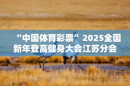 “中国体育彩票”2025全国新年登高健身大会江苏分会场活动举行