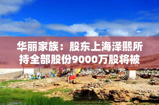 华丽家族：股东上海泽熙所持全部股份9000万股将被司法拍卖