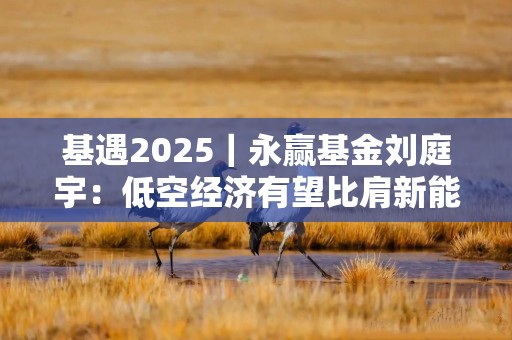 基遇2025｜永赢基金刘庭宇：低空经济有望比肩新能源，下阶段基建环节或最先受益