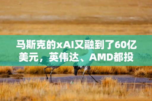 马斯克的xAI又融到了60亿美元，英伟达、AMD都投了