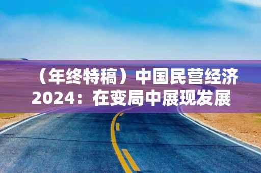 （年终特稿）中国民营经济2024：在变局中展现发展韧性