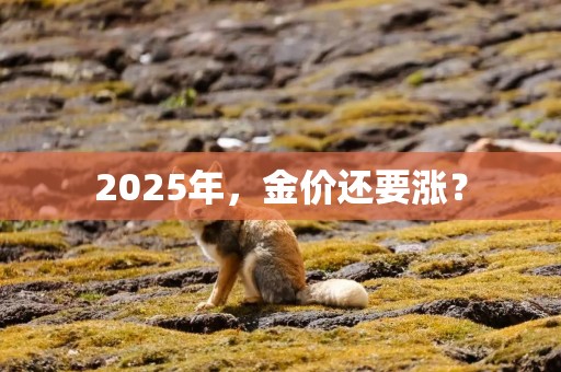 2025年，金价还要涨？