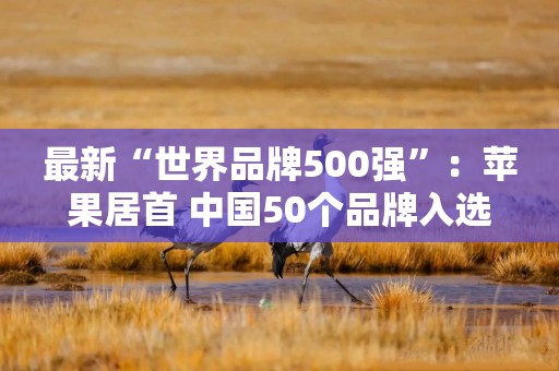 最新“世界品牌500强”：苹果居首 中国50个品牌入选