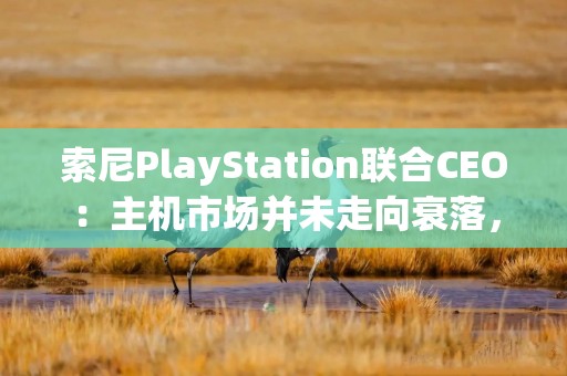 索尼PlayStation联合CEO：主机市场并未走向衰落，仍是业务核心