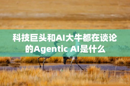 科技巨头和AI大牛都在谈论的Agentic AI是什么