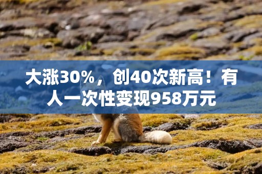 大涨30%，创40次新高！有人一次性变现958万元