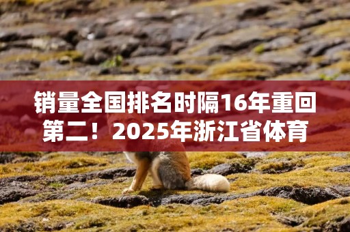 销量全国排名时隔16年重回第二！2025年浙江省体育彩票工作会议在温州召开