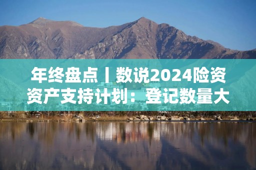 年终盘点丨数说2024险资资产支持计划：登记数量大增、规模锐减 基础资产投资类别转向