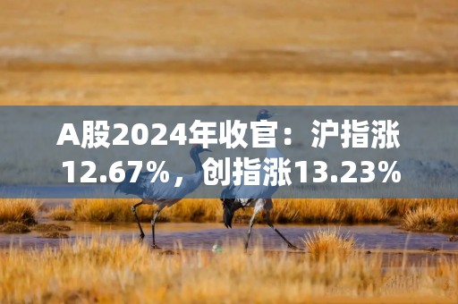 A股2024年收官：沪指涨12.67%，创指涨13.23%