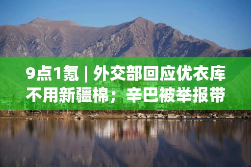 9点1氪 | 外交部回应优衣库不用新疆棉；辛巴被举报带货涉虚假宣传；上海将修订“沪牌”拍卖规定