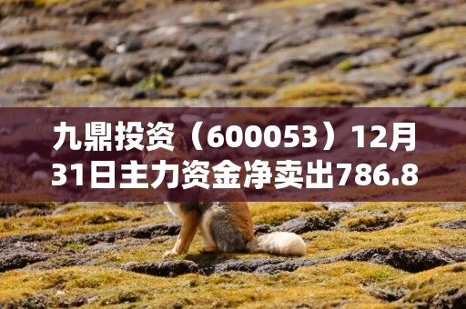 九鼎投资（600053）12月31日主力资金净卖出786.88万元