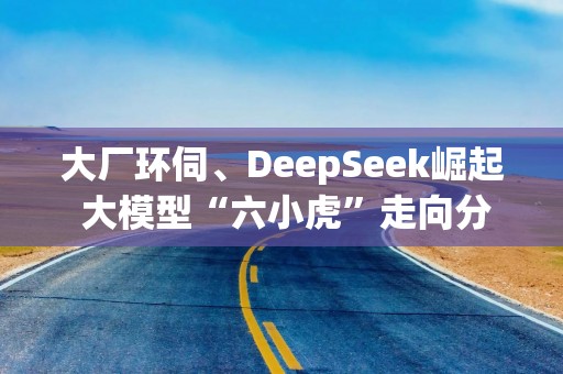 大厂环伺、DeepSeek崛起 大模型“六小虎”走向分化|2025年展望