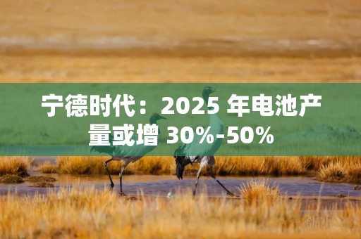 宁德时代：2025 年电池产量或增 30%-50%