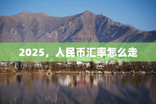 2025，人民币汇率怎么走