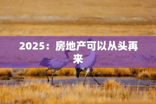 2025：房地产可以从头再来