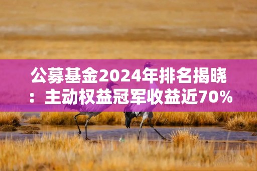 公募基金2024年排名揭晓：主动权益冠军收益近70%，债基最高收益超20%