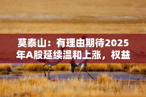 莫泰山：有理由期待2025年A股延续温和上涨，权益资产将更具性价比