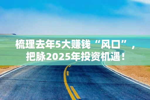 梳理去年5大赚钱“风口”，把脉2025年投资机遇！