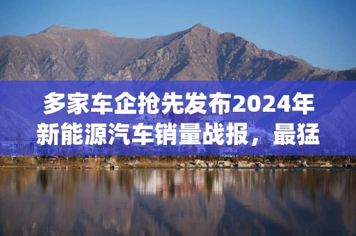 多家车企抢先发布2024年新能源汽车销量战报，最猛增长超232%！新能车ETF(515700)近半年累计涨幅居可比基金首位