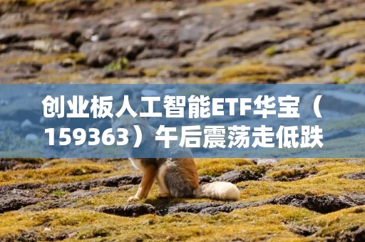 创业板人工智能ETF华宝（159363）午后震荡走低跌超2%