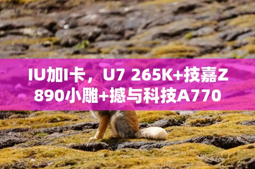 IU加I卡，U7 265K+技嘉Z890小雕+撼与科技A770