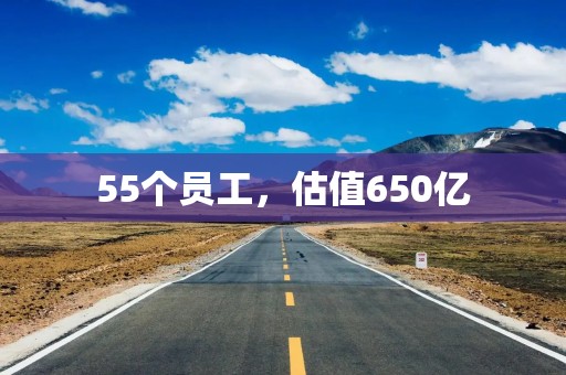 55个员工，估值650亿