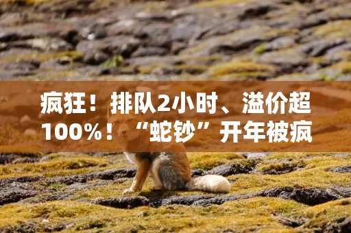 疯狂！排队2小时、溢价超100%！“蛇钞”开年被疯炒，带火期货行情……专家提示风险