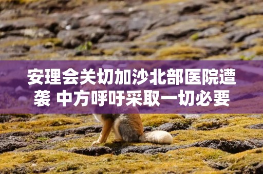 安理会关切加沙北部医院遭袭 中方呼吁采取一切必要行动实现停火