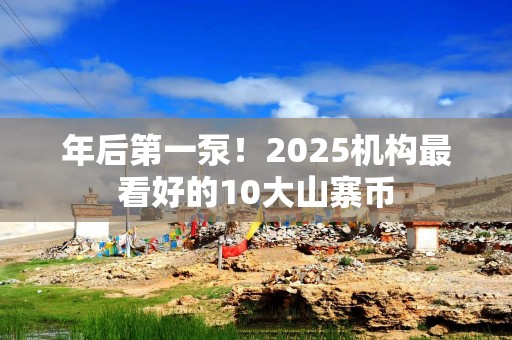 年后第一泵！2025机构最看好的10大山寨币