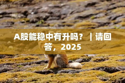 A股能稳中有升吗？｜请回答，2025